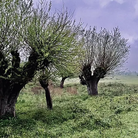 Bed and breakfast De Kruidenpoort 3*