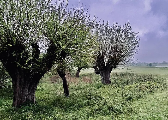 Bed and breakfast De Kruidenpoort 3*